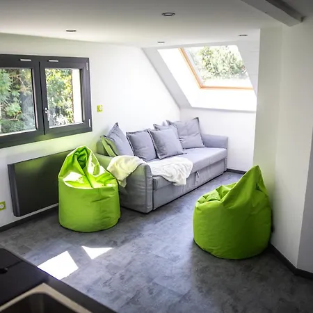Bienvenue Dans Le Chartreuse 2 A 6 Couchages Apartament Cholonge